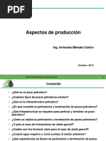 Aspectos de Produccion PDF