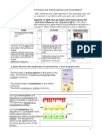 Transcription Translations Handout