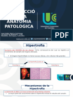 Introduccion A La Anatomia Patologica - Hipertrofia, Hiperplasia, Atrofia, Metaplasia.