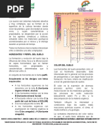 Color Del Suelo