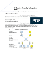 Classification of Mutation According To Magnitude of Phenotypic Effect-1-1