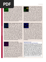 Progerin, Damaged Telomeres and Aging