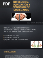 Disolución, Liquidación y Extinción de Sociedades-1