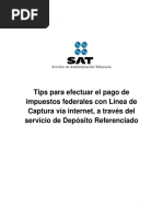 Tips para Efectuar El Pago de Impuestos Federales Con Línea de Captura Vía Internet, A Través Del Servicio de Depósito Referenciado