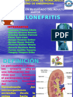 Pielonefritis Expocicion