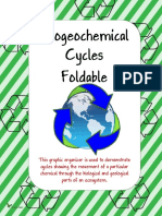 BiogeochemicalCyclesFoldable1 PDF