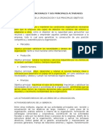 Las Áreas Funcionales y Sus Principales Actividades