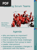 Coaching Scrum Teams