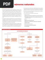 Lbro Matematicas Tema 1