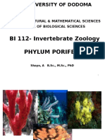 Lecture 3 - Intro. To Metazoa