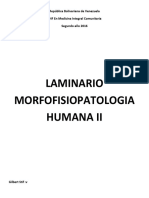 Laminario MFPH II