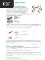 Tipos de Mutaciones