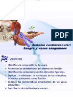 Cardiovascular Final