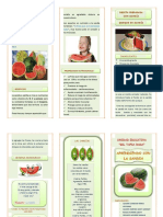 Triptico LA SANDÍA PDF