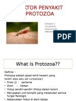 Vektor Penyakit Protozoa