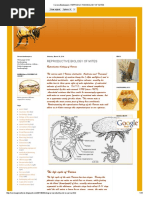 Corona Beekeepers - Reproductive Biology of Mites