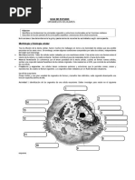 Guia de Estudio 1biología