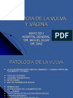 Lesiones de Vulva y Vagina