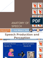 Anatomy of Speech - English Phonetics