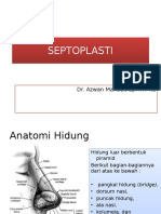 Septoplasti Slide