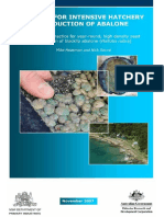 Hatchery Abalone