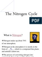 08 Nitrogen Cycle