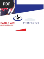 Eagle Air: Prospectus