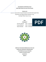 Sejarawan Indonesia Dan Historiografi Islam Nusantara