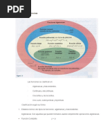 Clasificación de Funciones