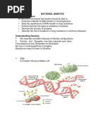 MICRO Bacterial Genetics