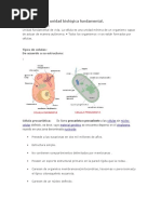 La Célula Como Unidad Biológica Fundamental