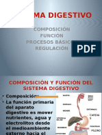 Sistema Digestivo y Renal-3