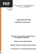 Importancia Del Trabajo Colaborativo en Preescolar