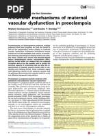 Disfuncion Vascular Preclampsia