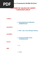 Informe de Visita A Carhuash Jirca