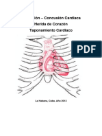 Traumatismo Cardiaco 2