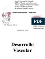 Desarrollo Vascular