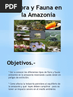 Presentacion Flora y Fauna en La Amazonia