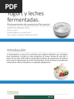 Clase X - Proceso de Elaboración de Yogurt