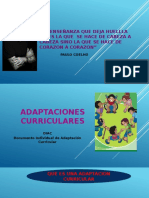 Adaptaciones Curriculares Cuadros