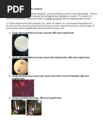 Ex 3 Lab Analysis