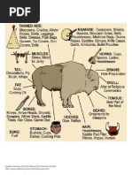 Uses of A Bison: Graphic Courtesy of South Dakota State Historical Society