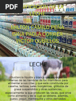 Pasteurizacion y Vat Uhts Quesos Ok VC