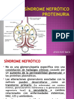 Sindrome Nefrótico-JRB