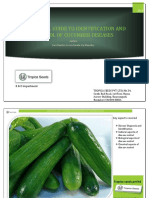 Cucumber Diseases - A Practical Guide To Identification & Control