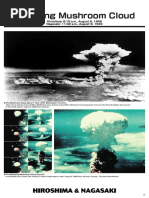 Hiroshima Nagasaki PDF