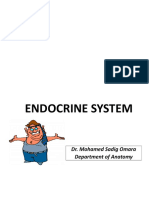 Endocrine