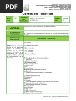 Formato de Contenidos Tematicos