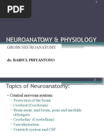 Neuroanatomy & Physiology