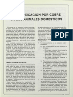 Intoxicación Por Cobre en Los Animales Domesticos